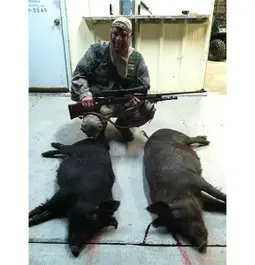 Hogs South Carolina